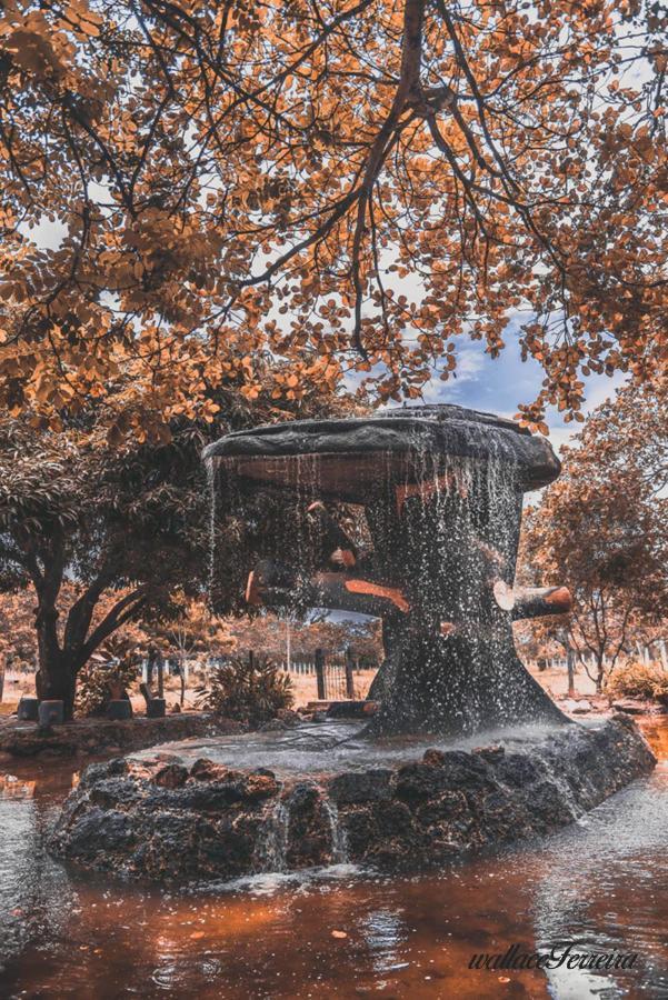 Hotel Diroma Fiori - Parque Aquatico E Muitas Piscinas Caldas Novas Bagian luar foto